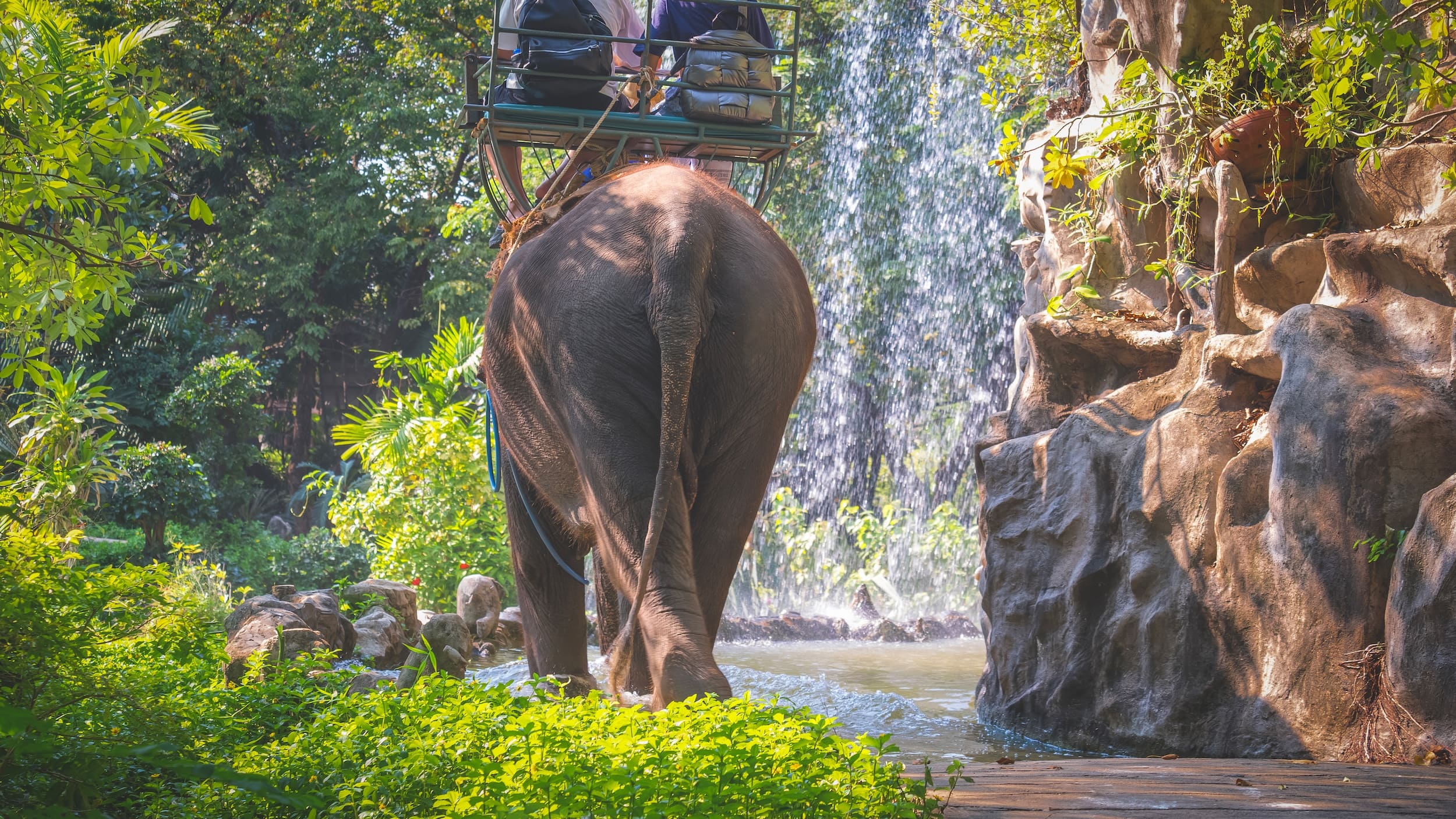tourists-riding-elephant-to-enjoy-the-natural-scen-2026-03-24-21-31-20-utc